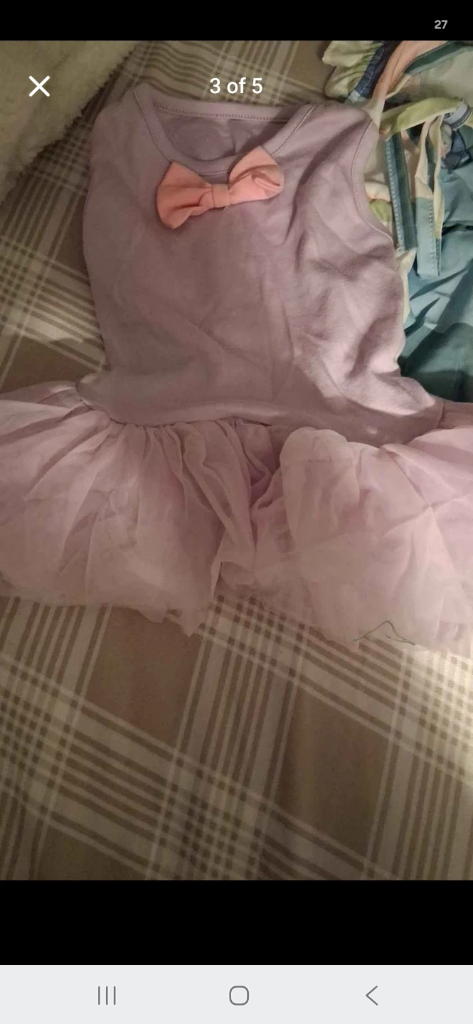 Dog Girl Clothes Bundle