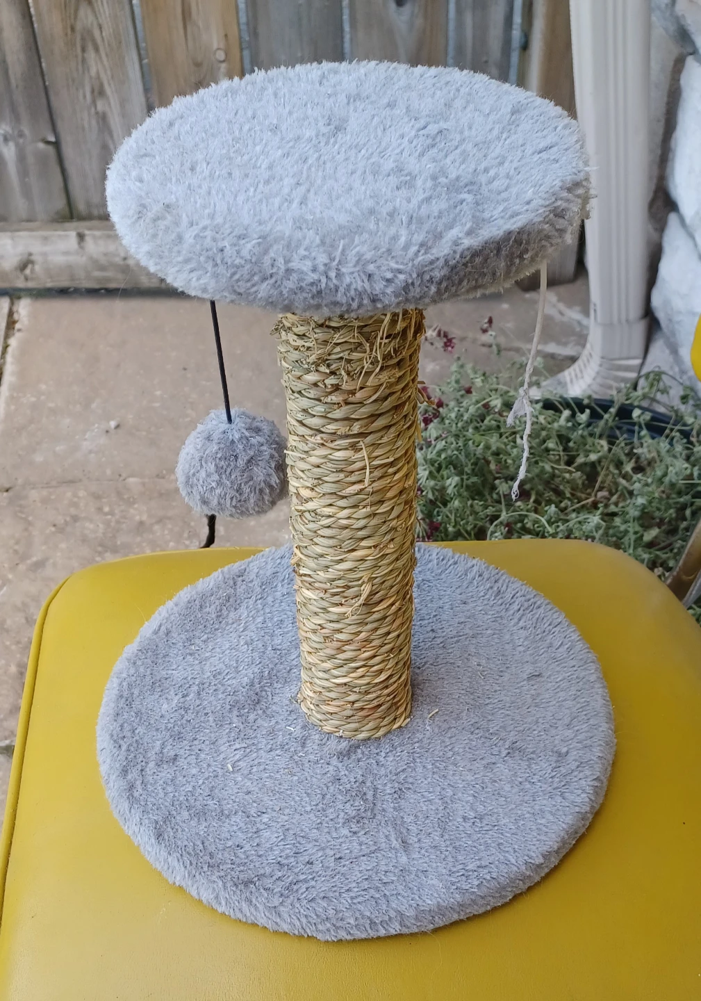 Small Cat Scratching Post with Toy