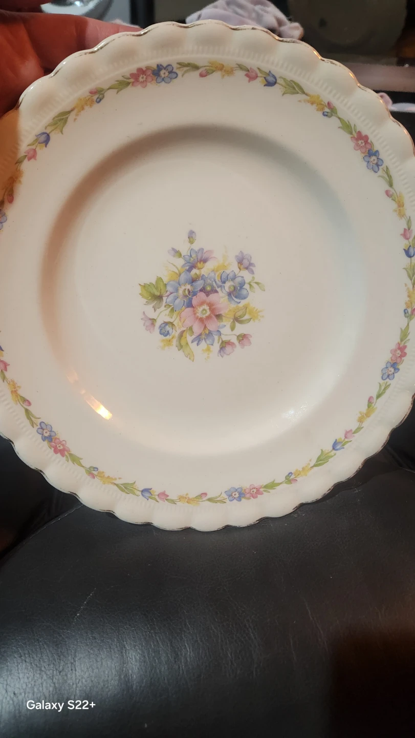 J&G Meakin SOL antique plate 1909