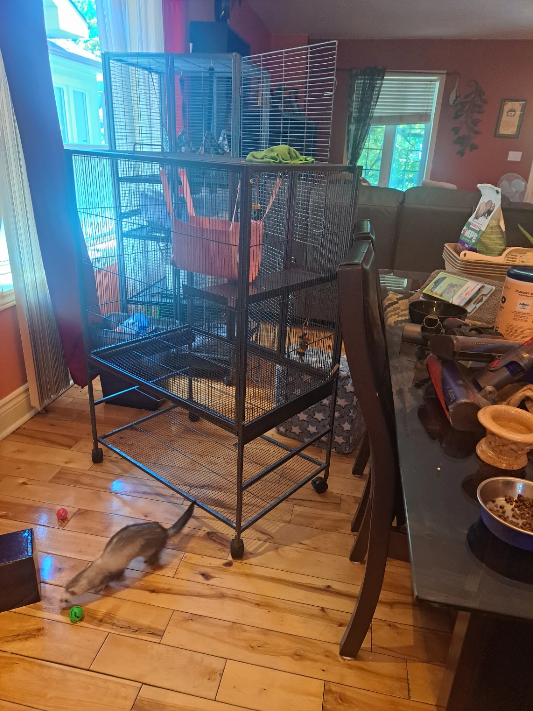 Large Metal Pet Cage with Hammock and Toys - photo 2