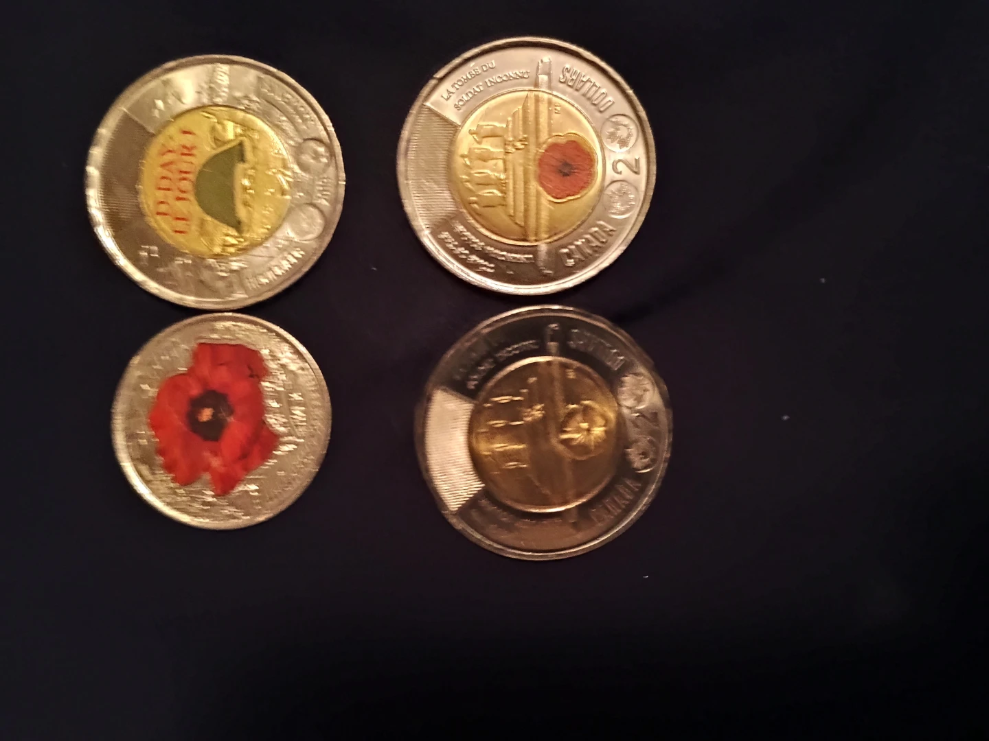 Collection of 4 Canadian Commemorative Loonie Coins - photo 4