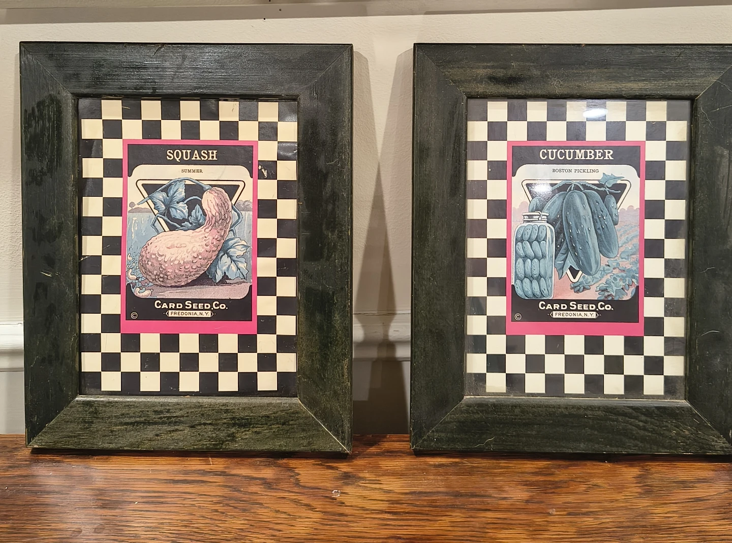 Card Seed Co. Framed Vintage Seed Packet Art - Squash & Cucumber