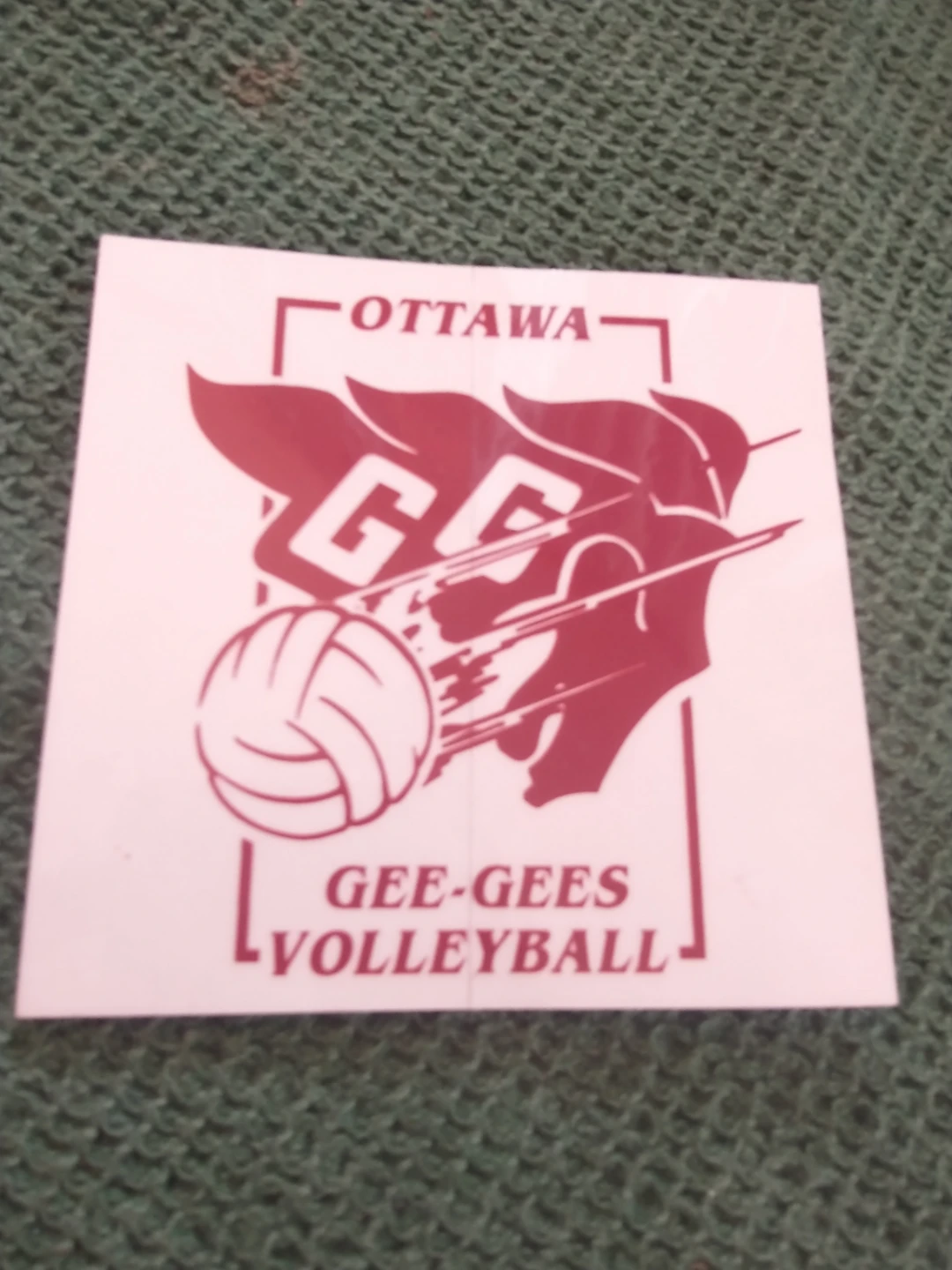 Ottawa Gee-Gees Volleyball Sticker