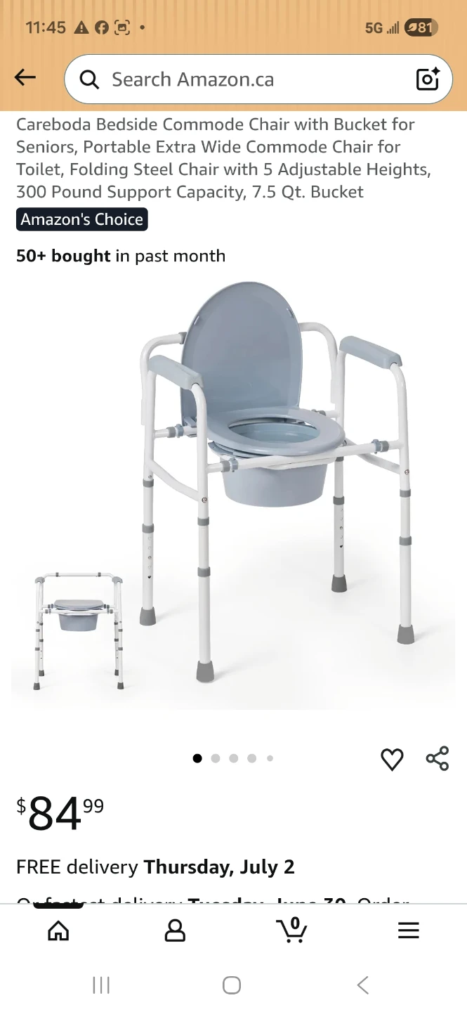 Careboda Bedside Commode Chair with Bucket