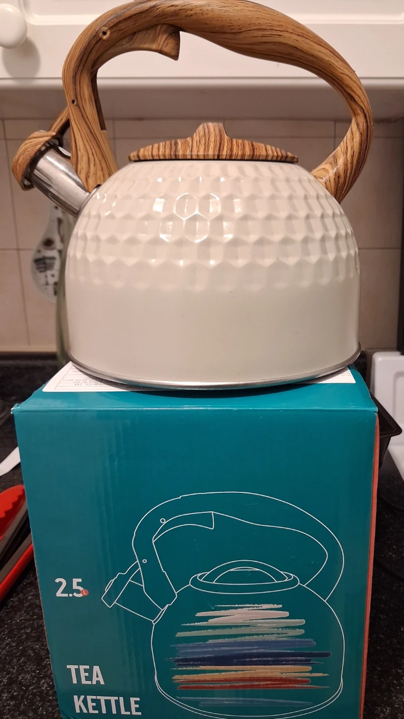 2.5L Tea Kettle with Wood-Look Handle