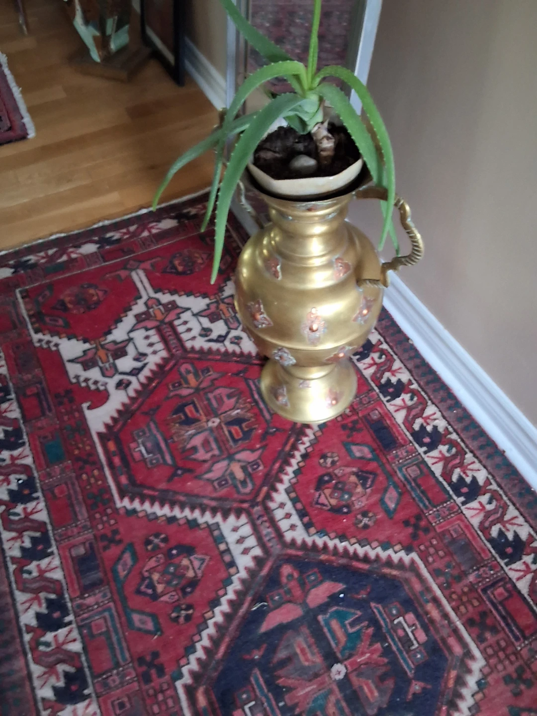 Decorative Brass Samovar with Aloe Vera Plant