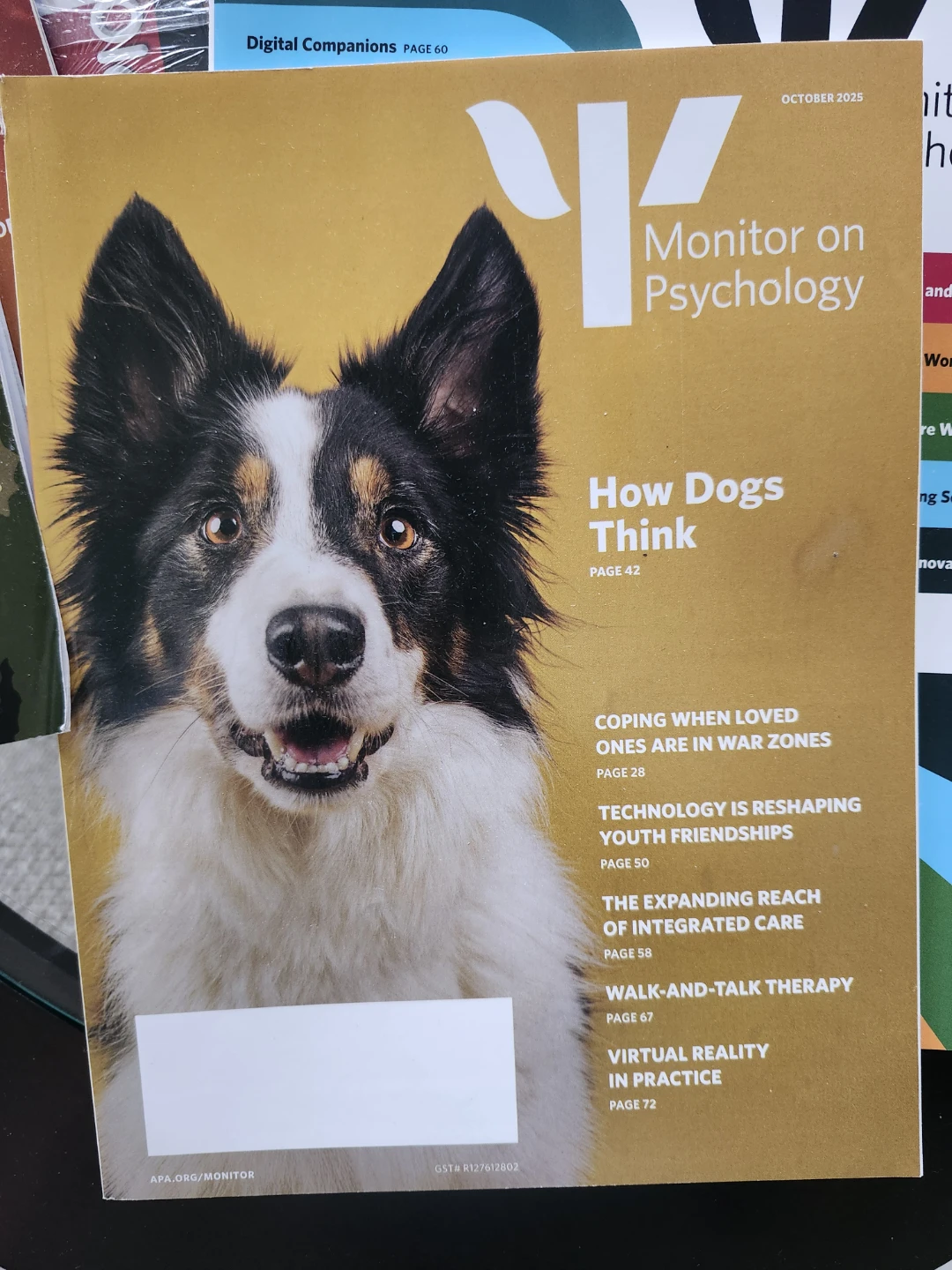 Monitor on Psychology Magazine Lot - photo 4