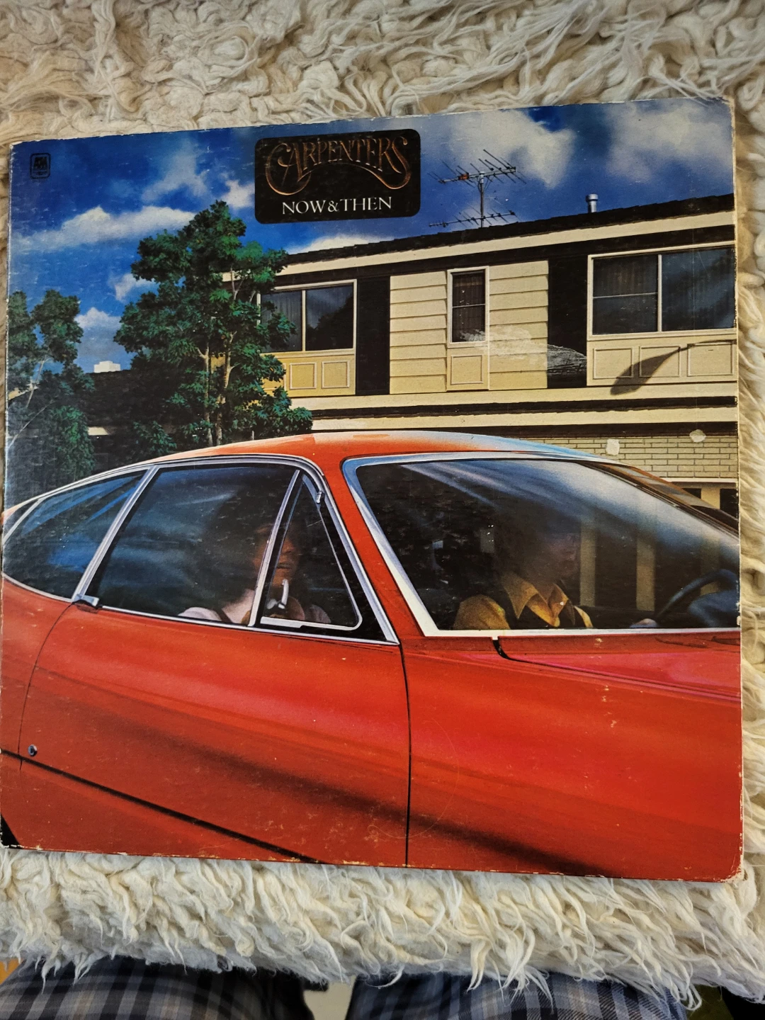 Carpenters Now & Then Vinyl Record ⚽️