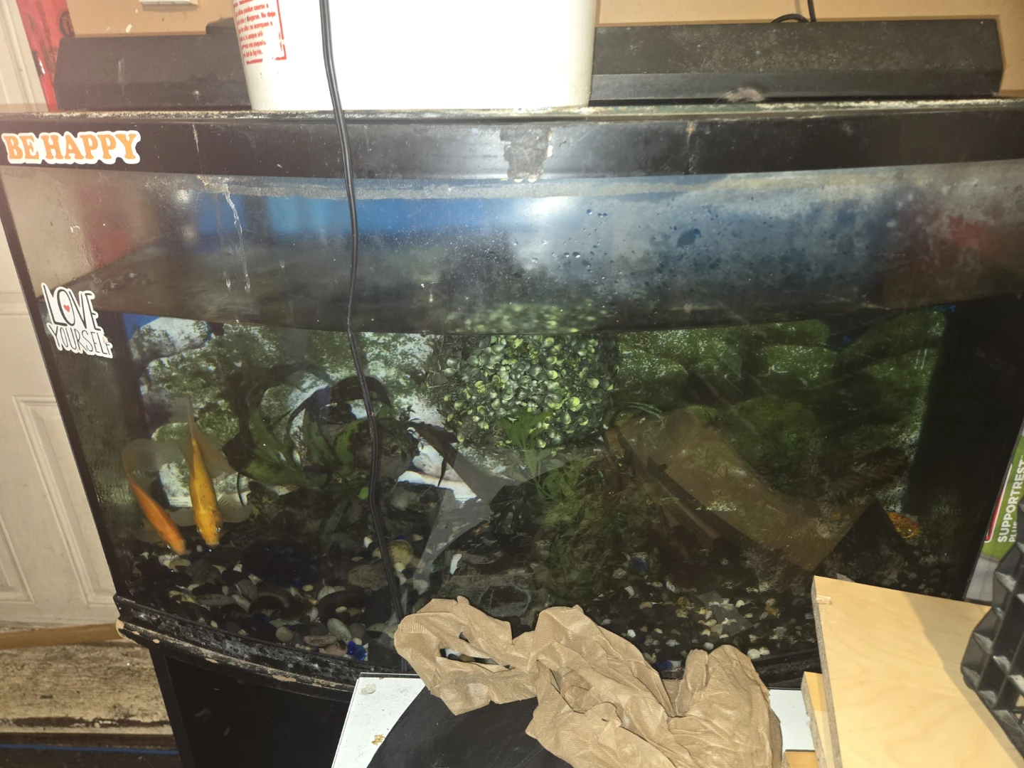 30 gallon fish tank