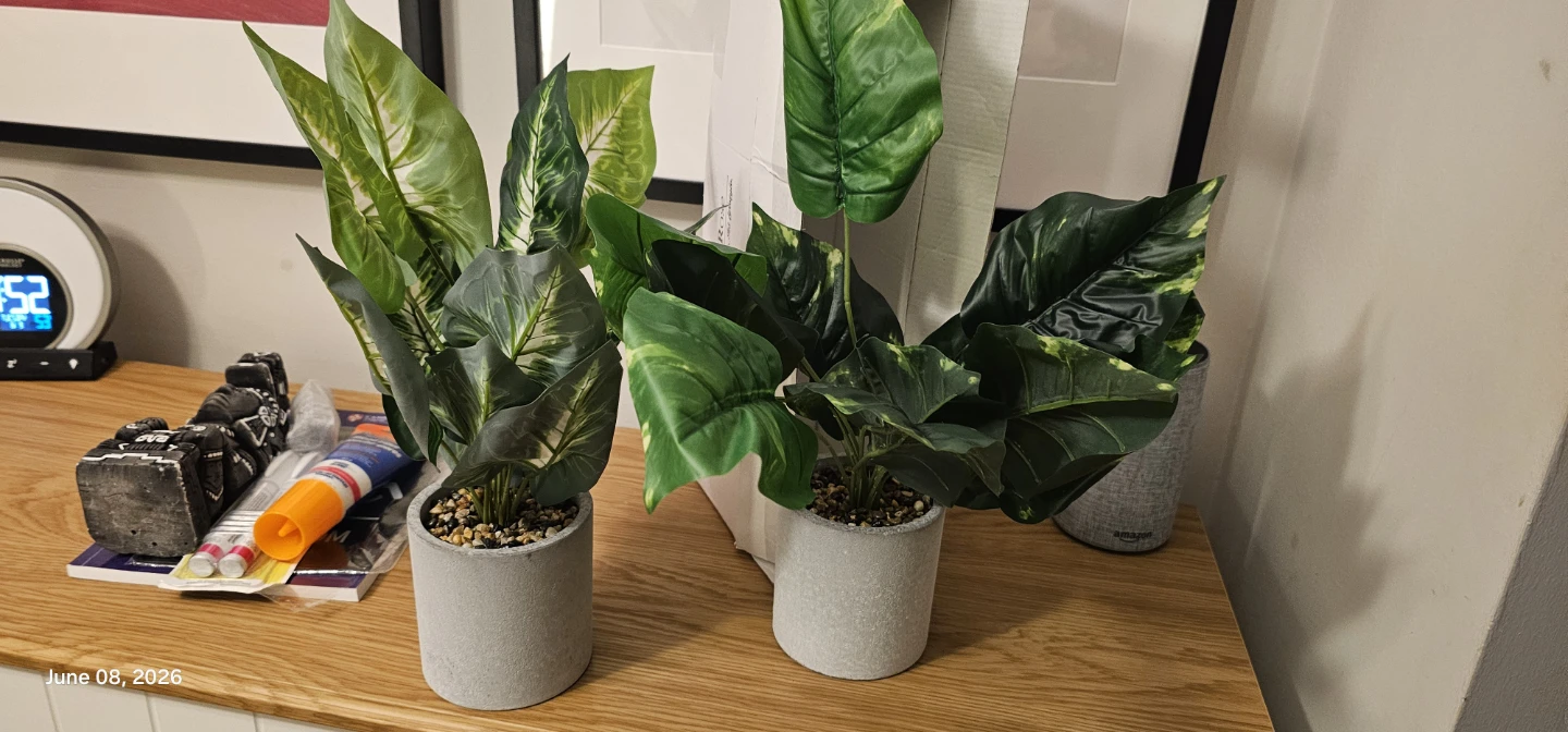 Der Rose 2pcs Faux Plants Taro Leaf and Greenery Leaf - photo 5