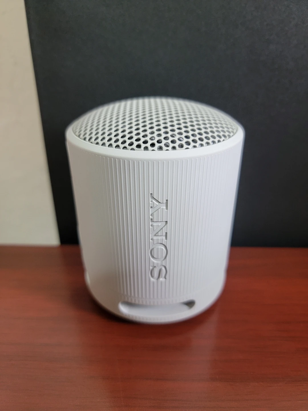 Sony SRS-XB100 Portable Bluetooth Speaker - White