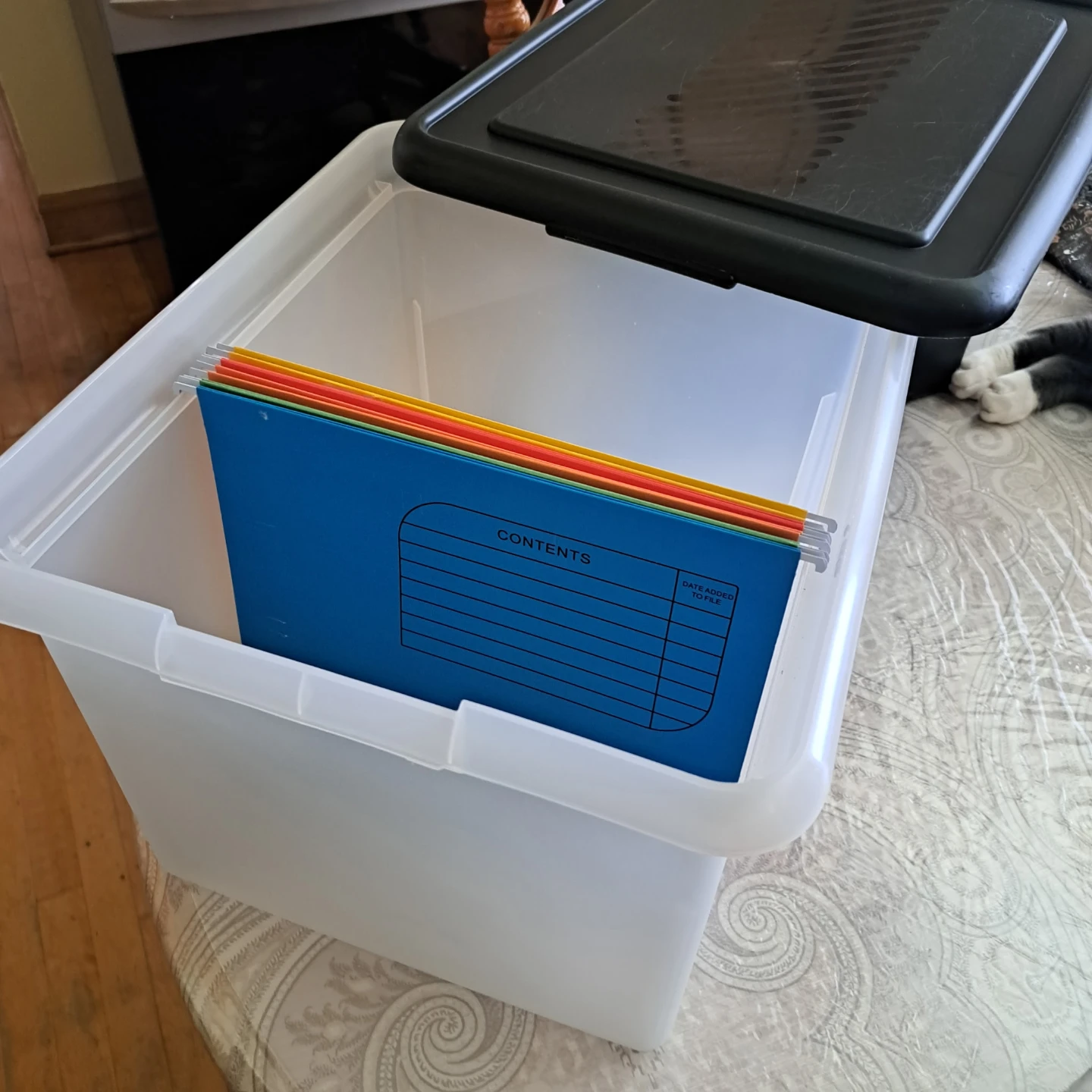 Clear Plastic Storage Bin with Lid