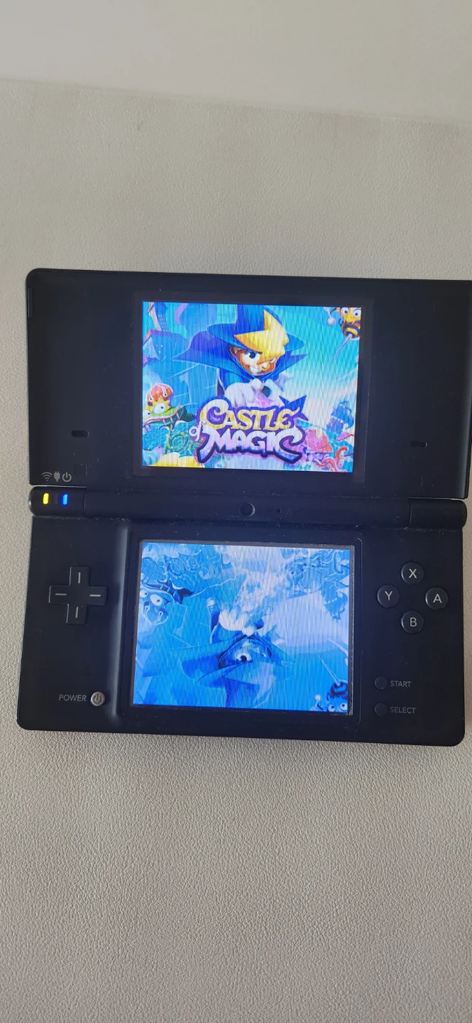 Nintendo DSi Console