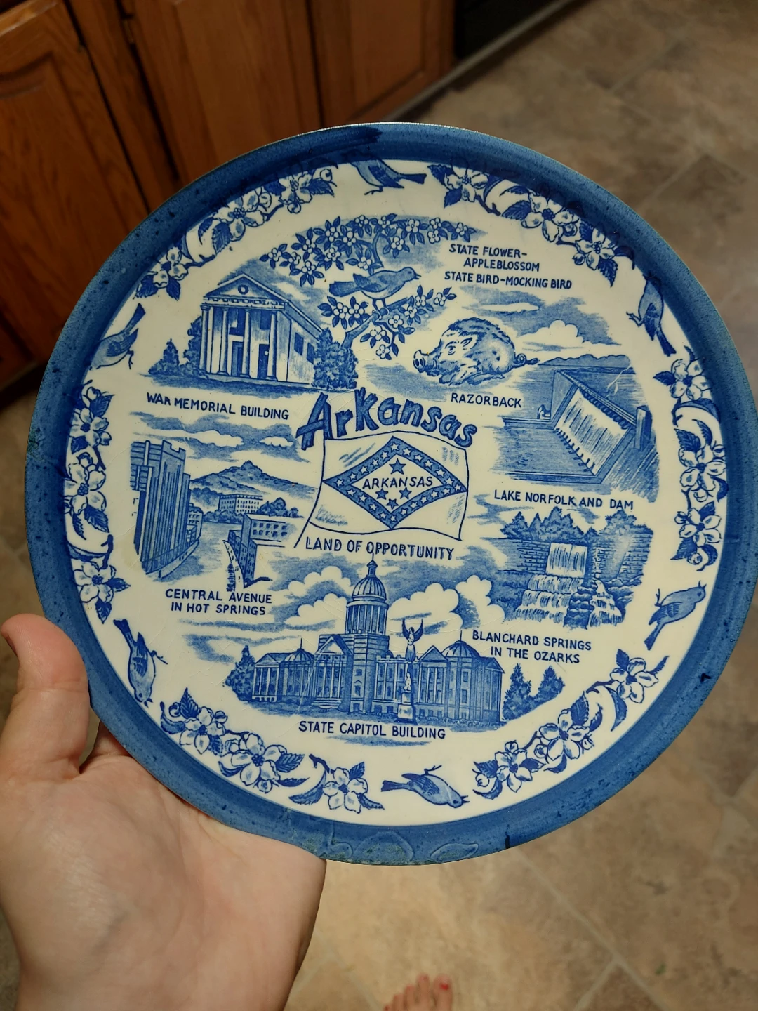 Vintage Arkansas Souvenir Decorative Plate