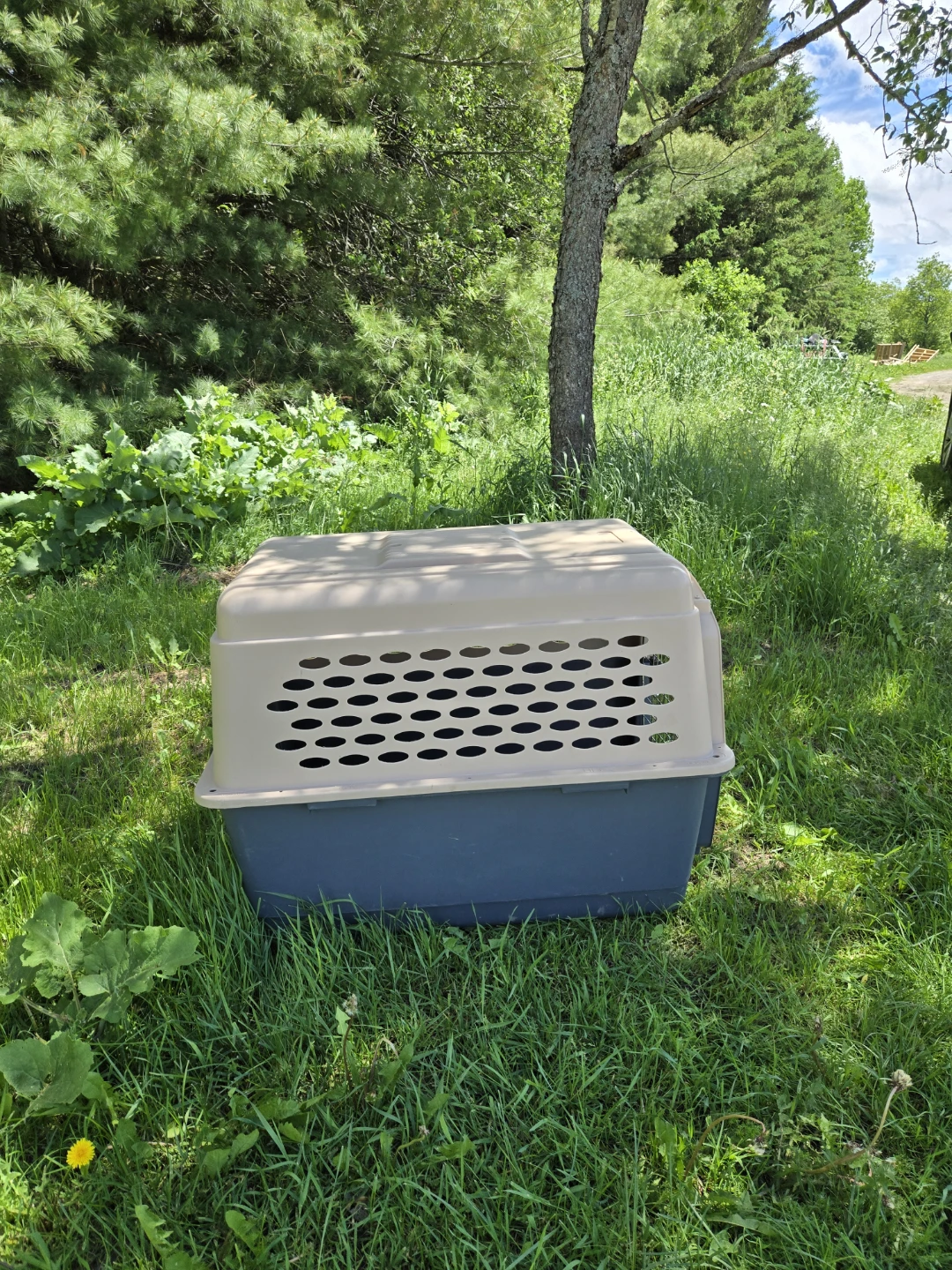 XLarge Dog Crate Carrier 40" - photo 3