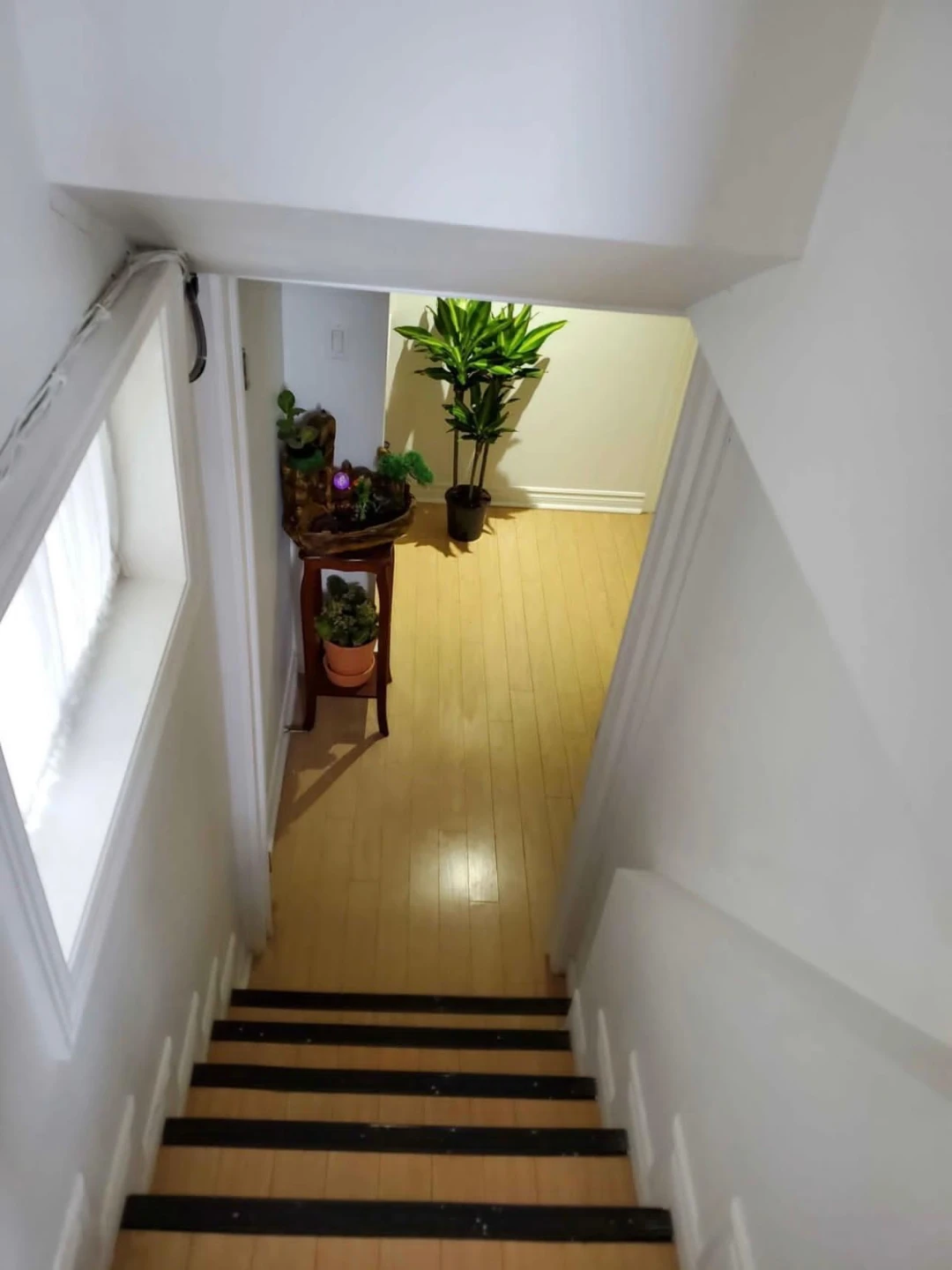 Small room for rent in basement $700 - photo 3