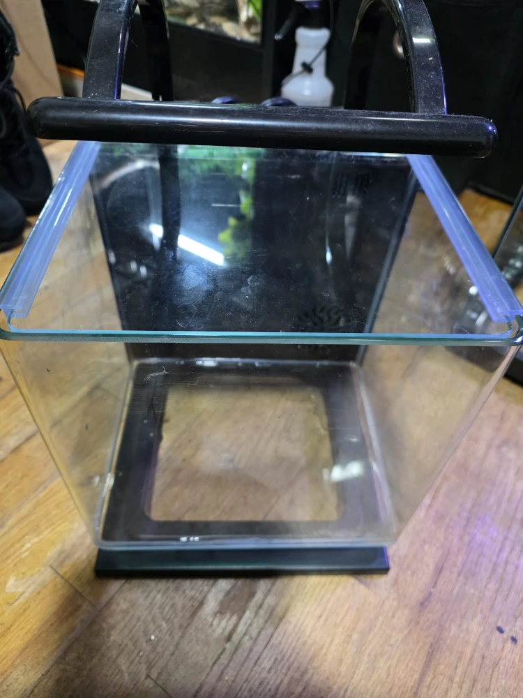 Small Aquarium with Filter System