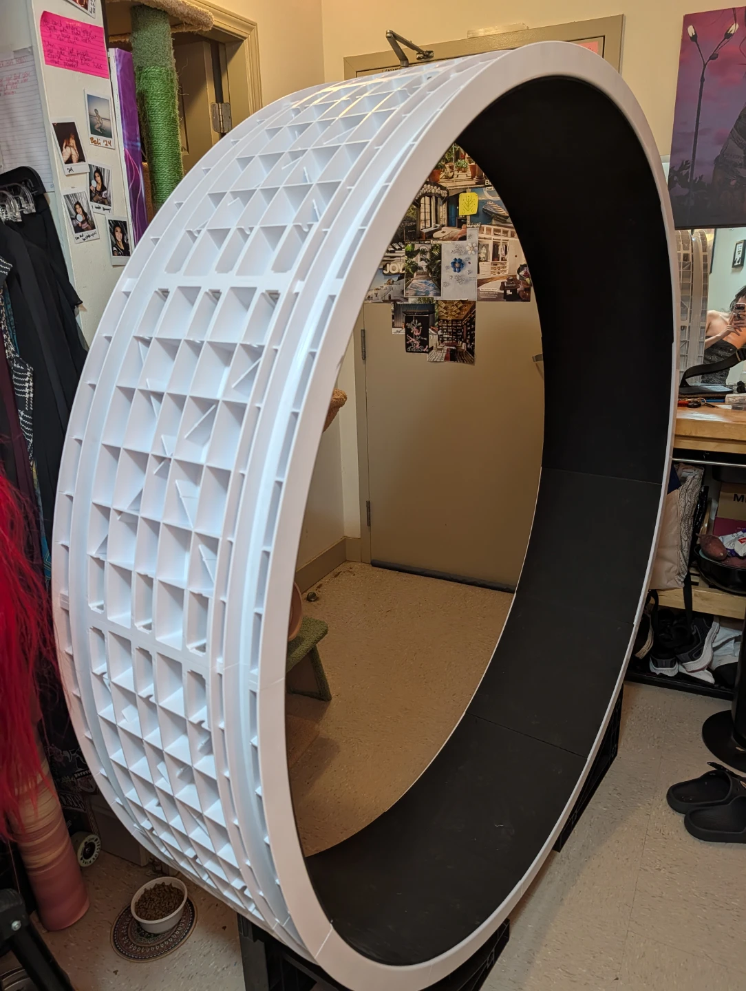 Ziggydoo Grande size cat wheel