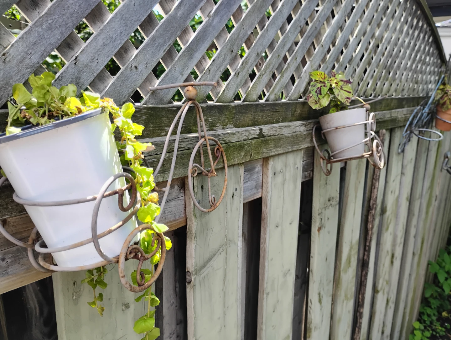 Decorative Metal Bicycle Plant Holder⚽