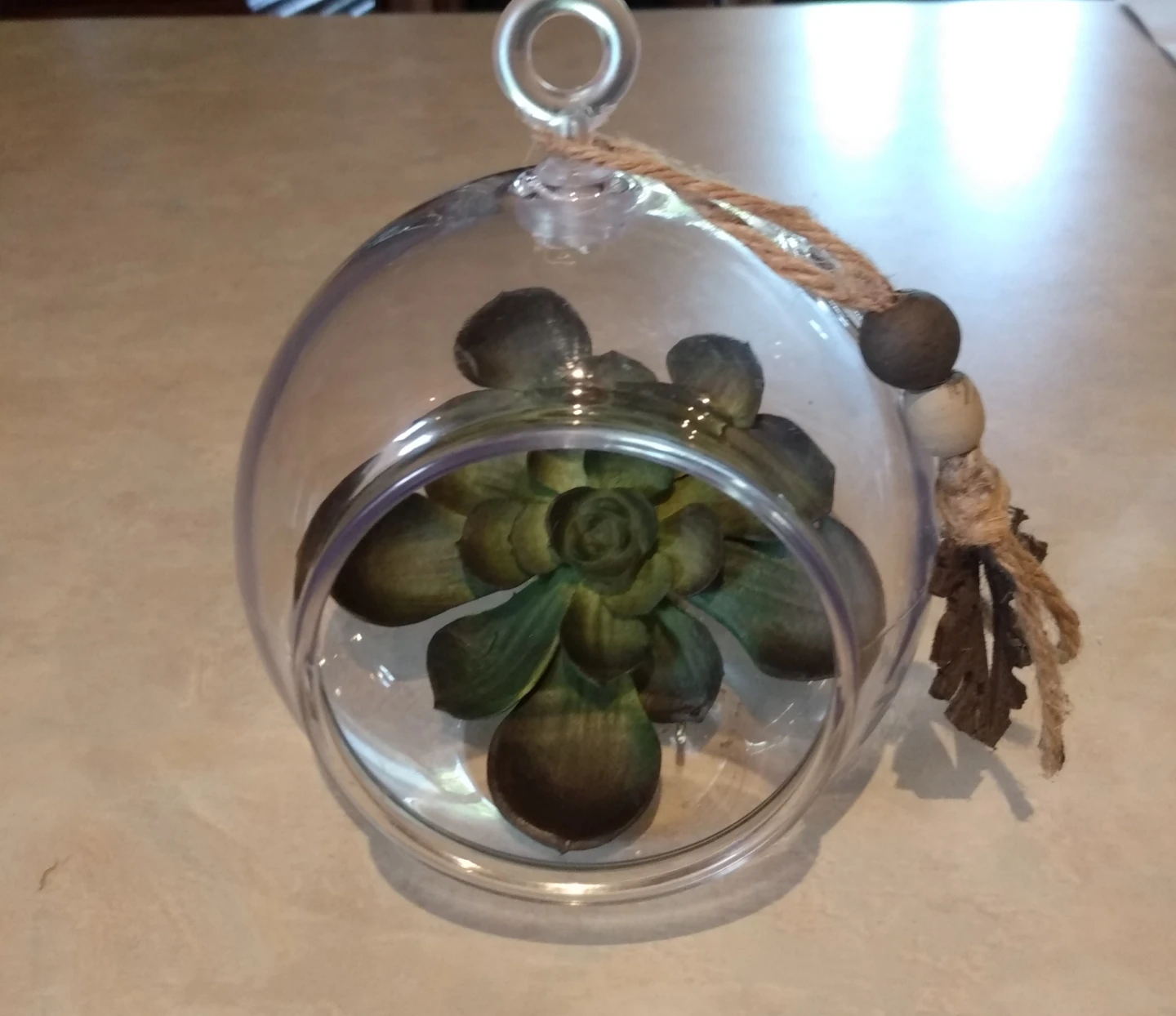 Decorative Terrarium with Succulent . - photo 2