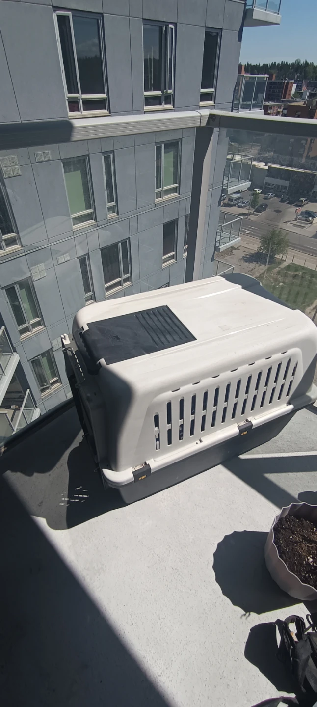 Dog carrier