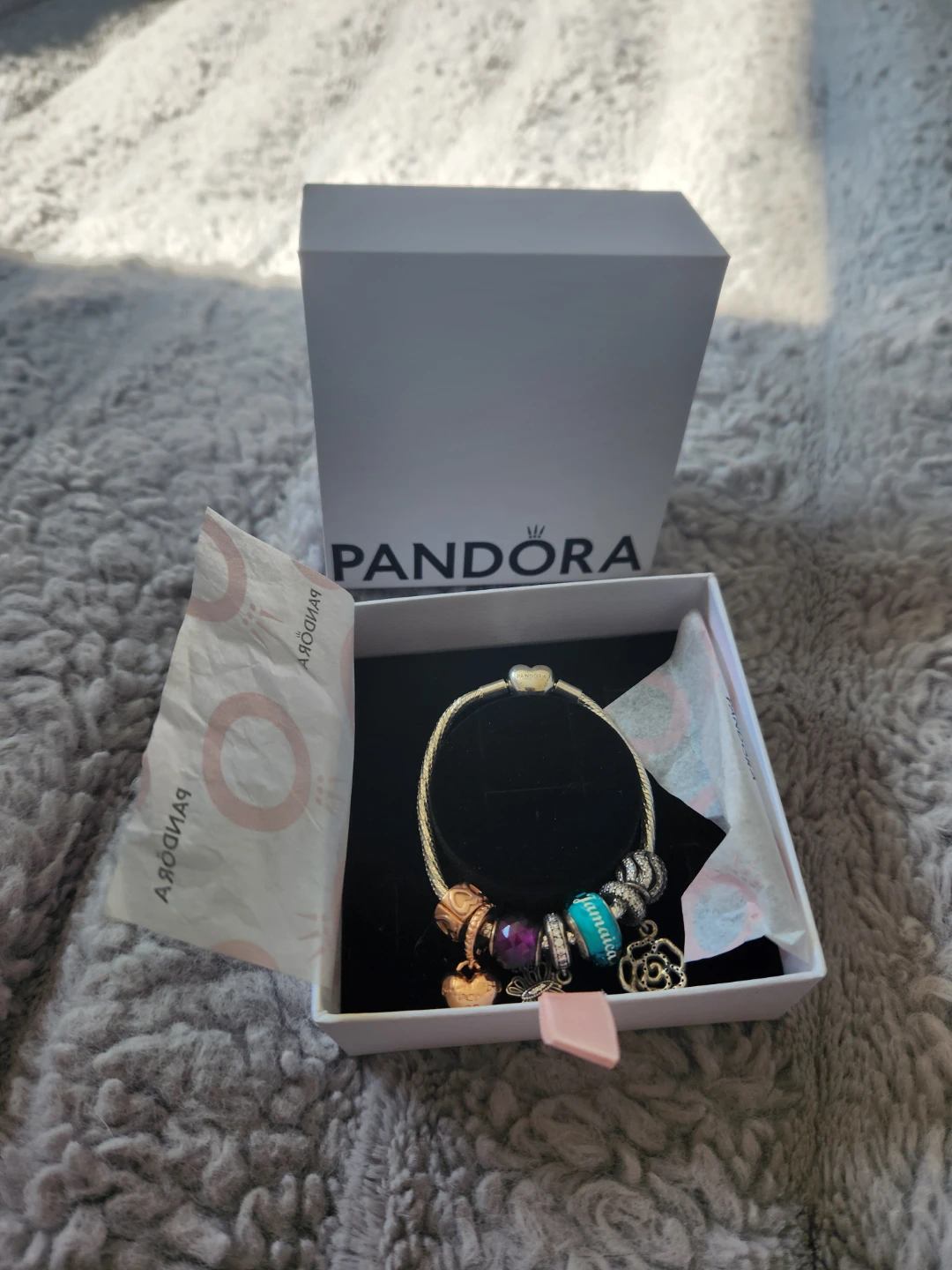Pandora Charm Bracelet - Charms NOT Inluded