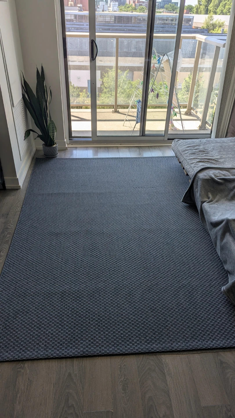 MOVING SALE - Grey Area Rug - photo 2