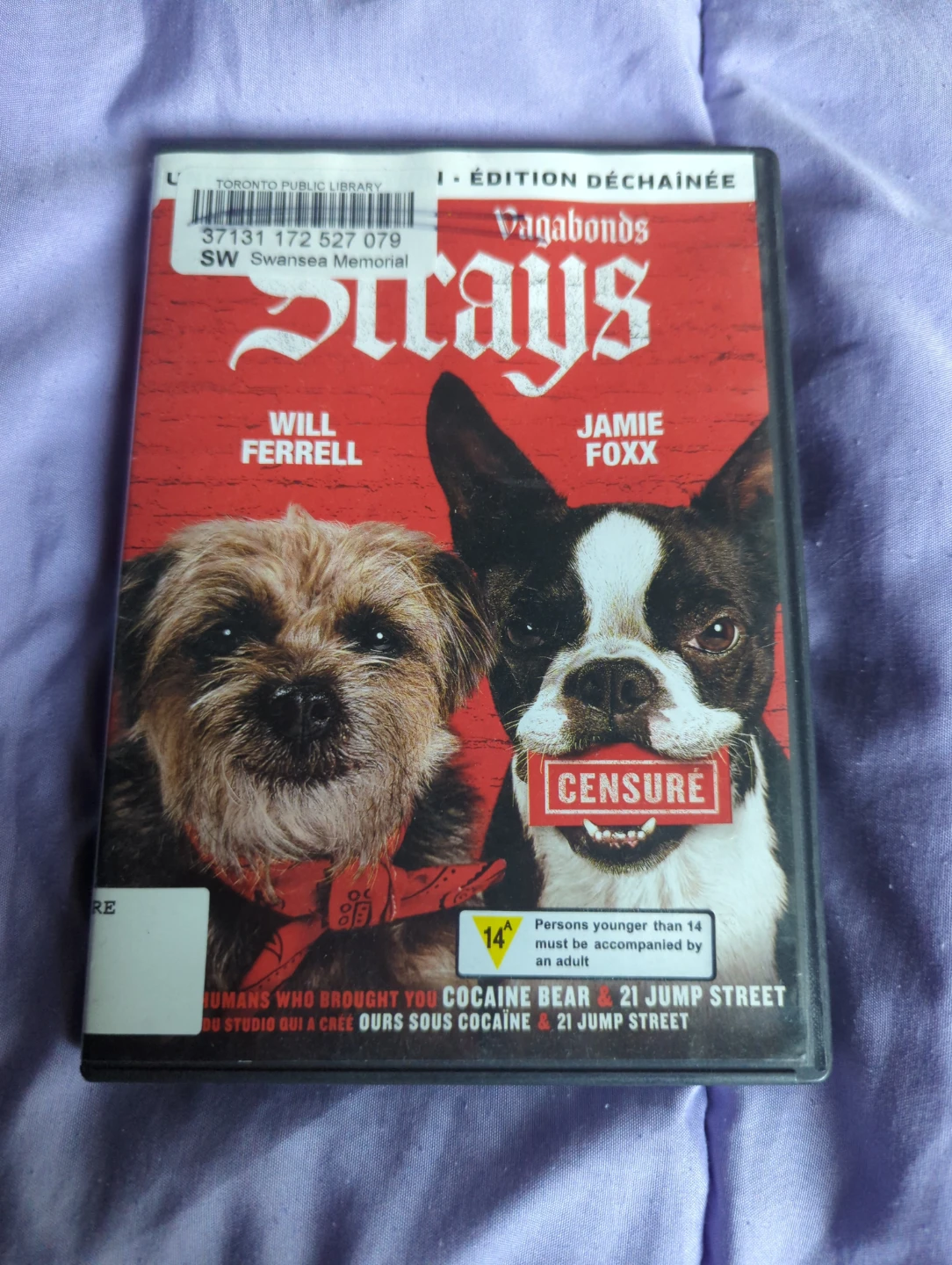 Strays DVD ⚽⚽⚽