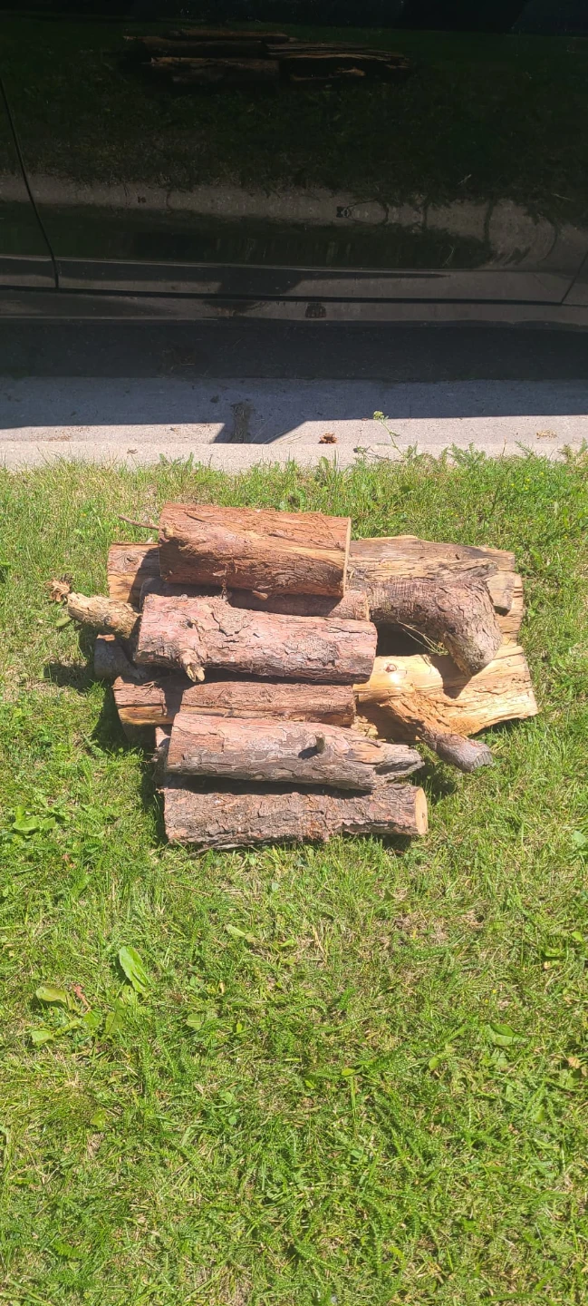 Free Bundle of firewood logs