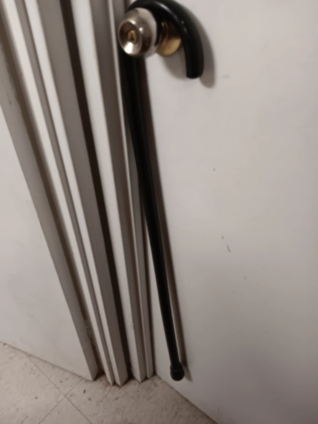 Black walking cane