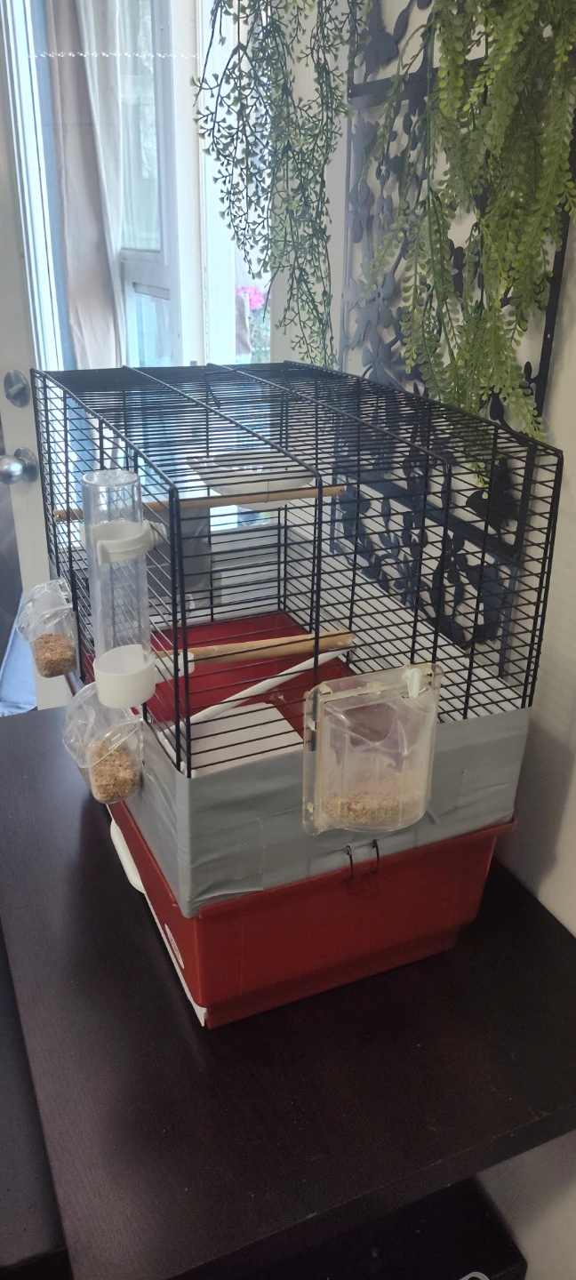 Bird Cage - photo 2