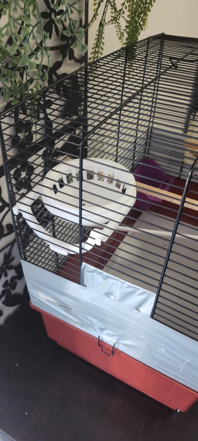 Bird Cage - photo 3