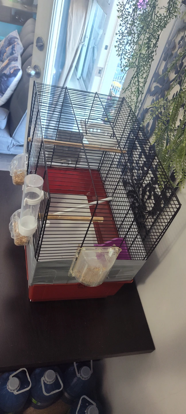 Bird Cage - photo 4