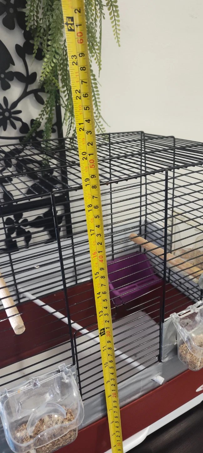 Bird Cage - photo 5