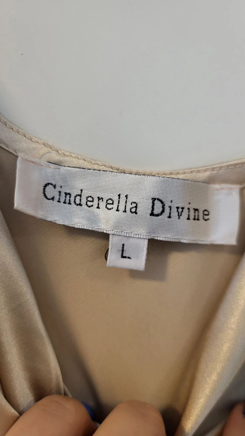 Cinderella Divine Satin Slip Dress - Champagne - Size L - photo 4