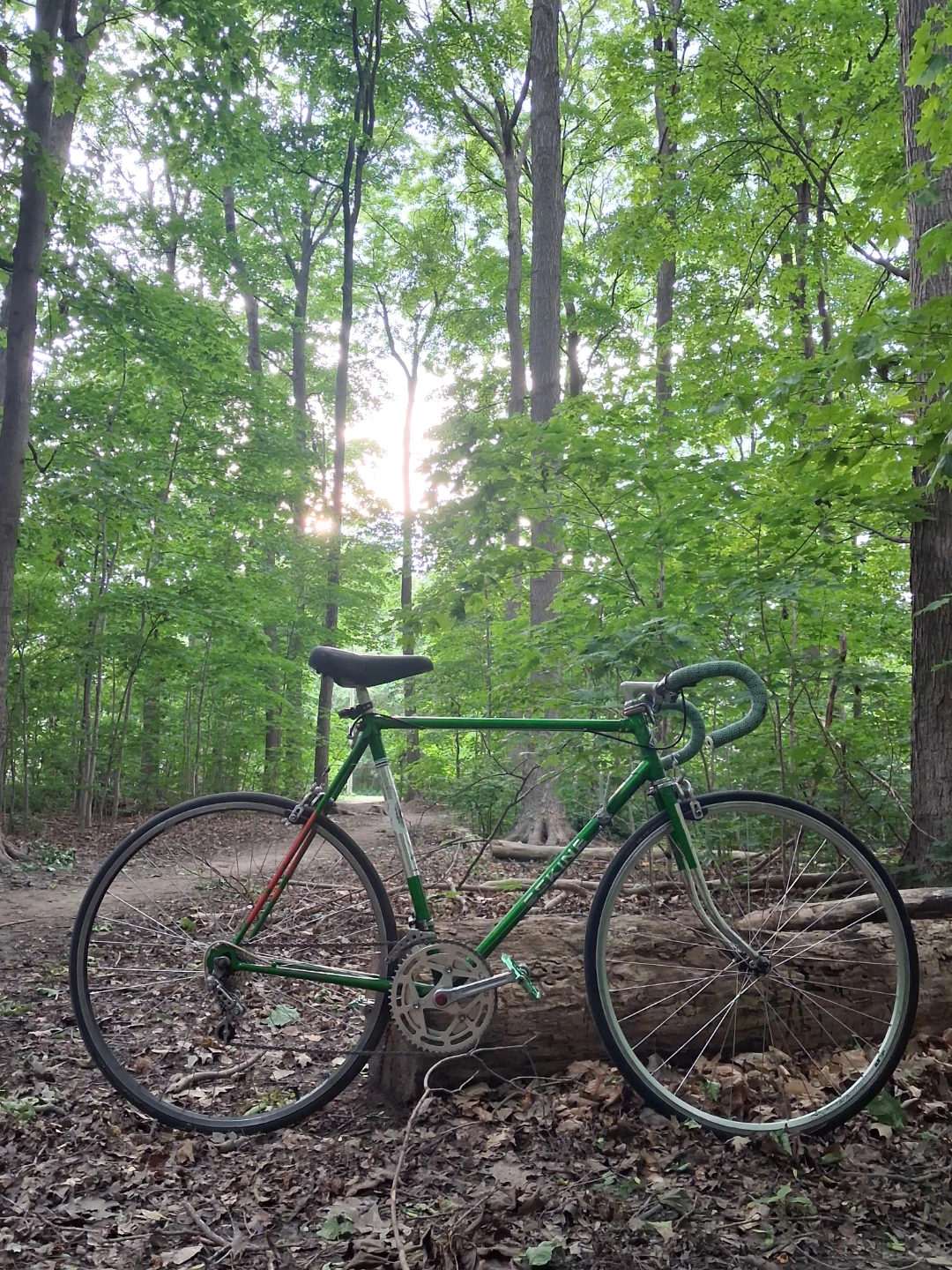 Green Sekine Road Bike - photo 3