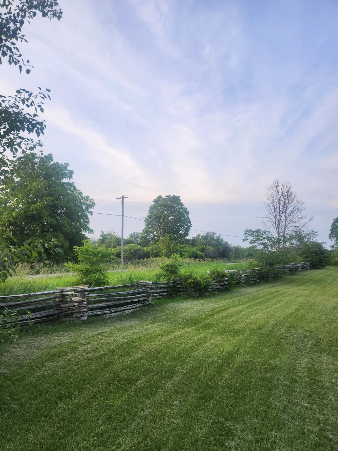 Authentic Cedar Fence Rails - photo 2