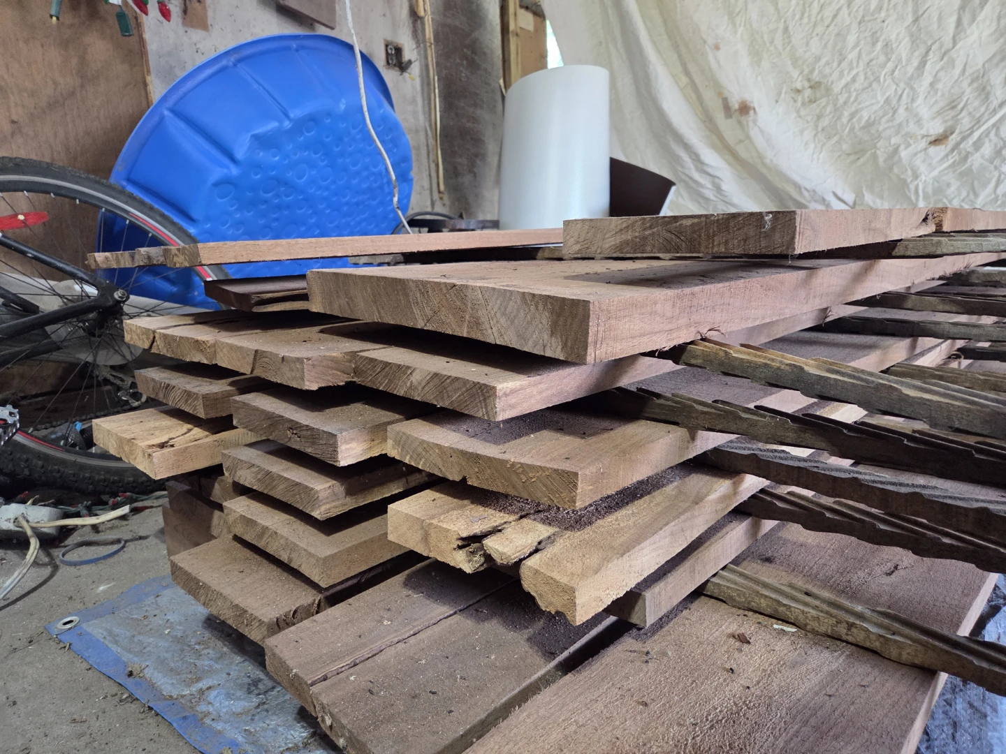 Black walnut 1×8