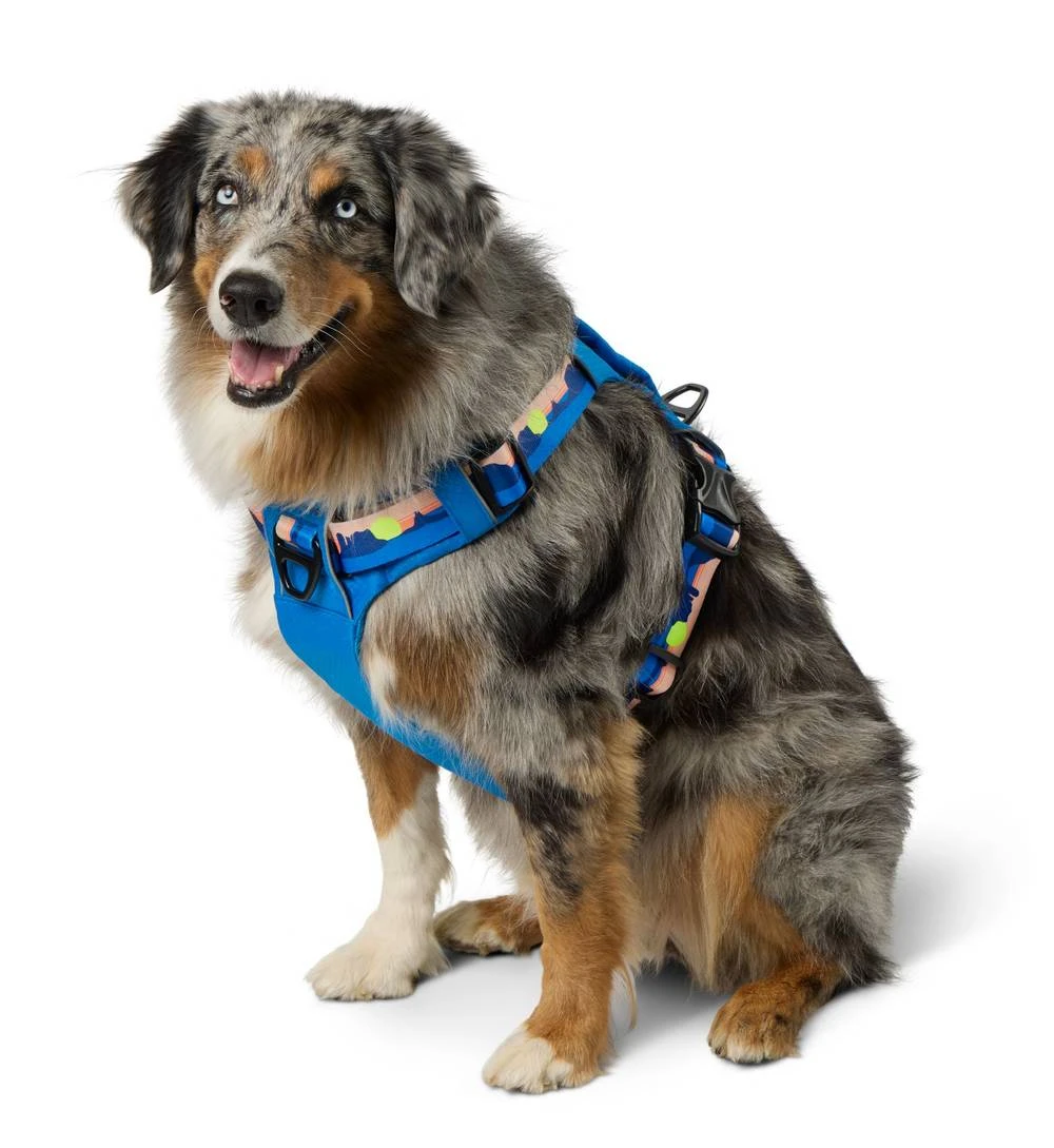 Arcadia Trail Dog Harness - photo 2