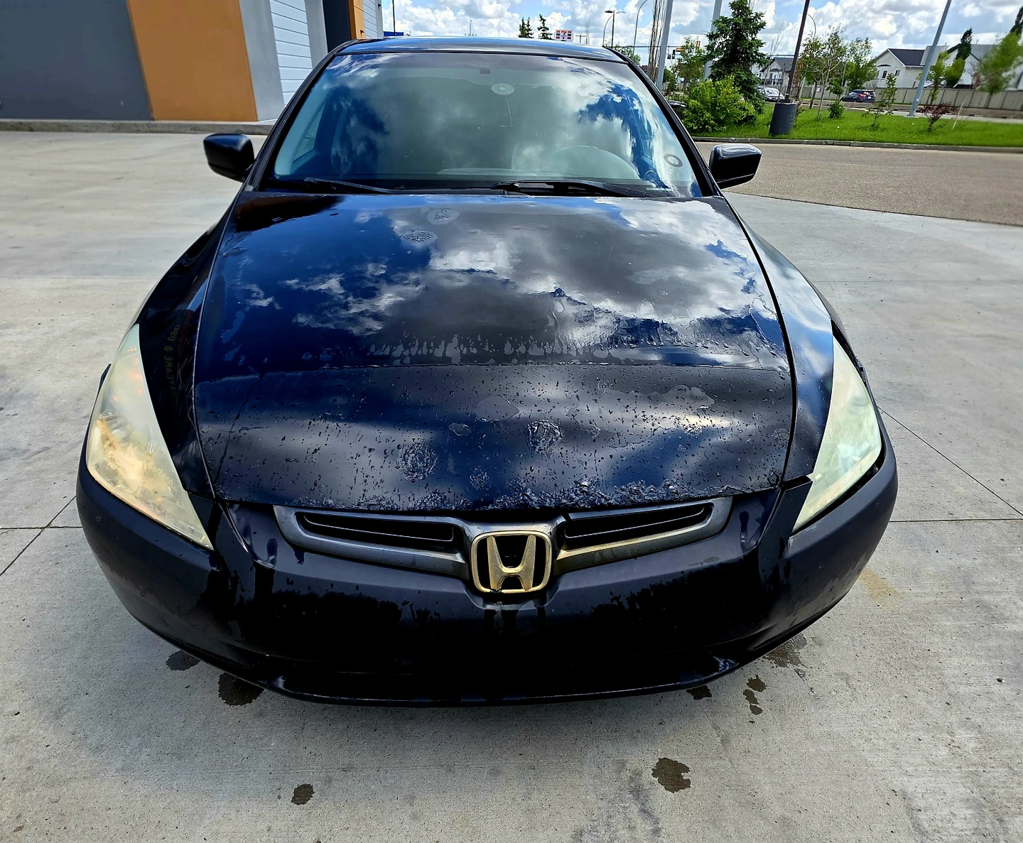 Black 2005 Honda Accord EX  Sedan - photo 4