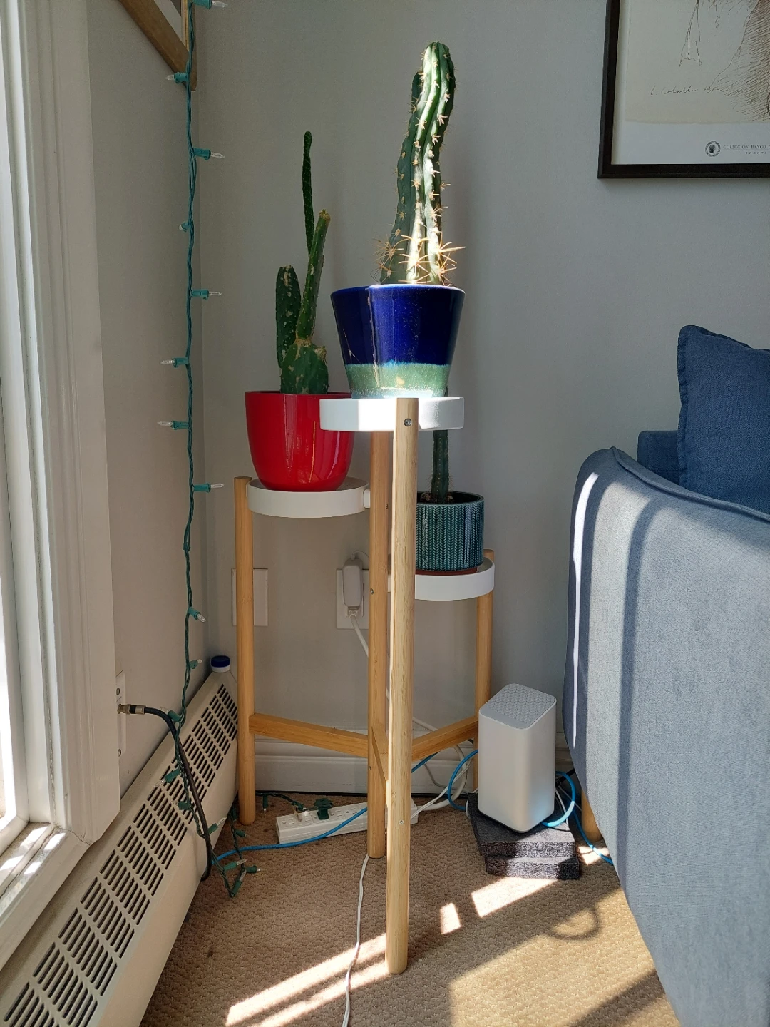 Plant Stand