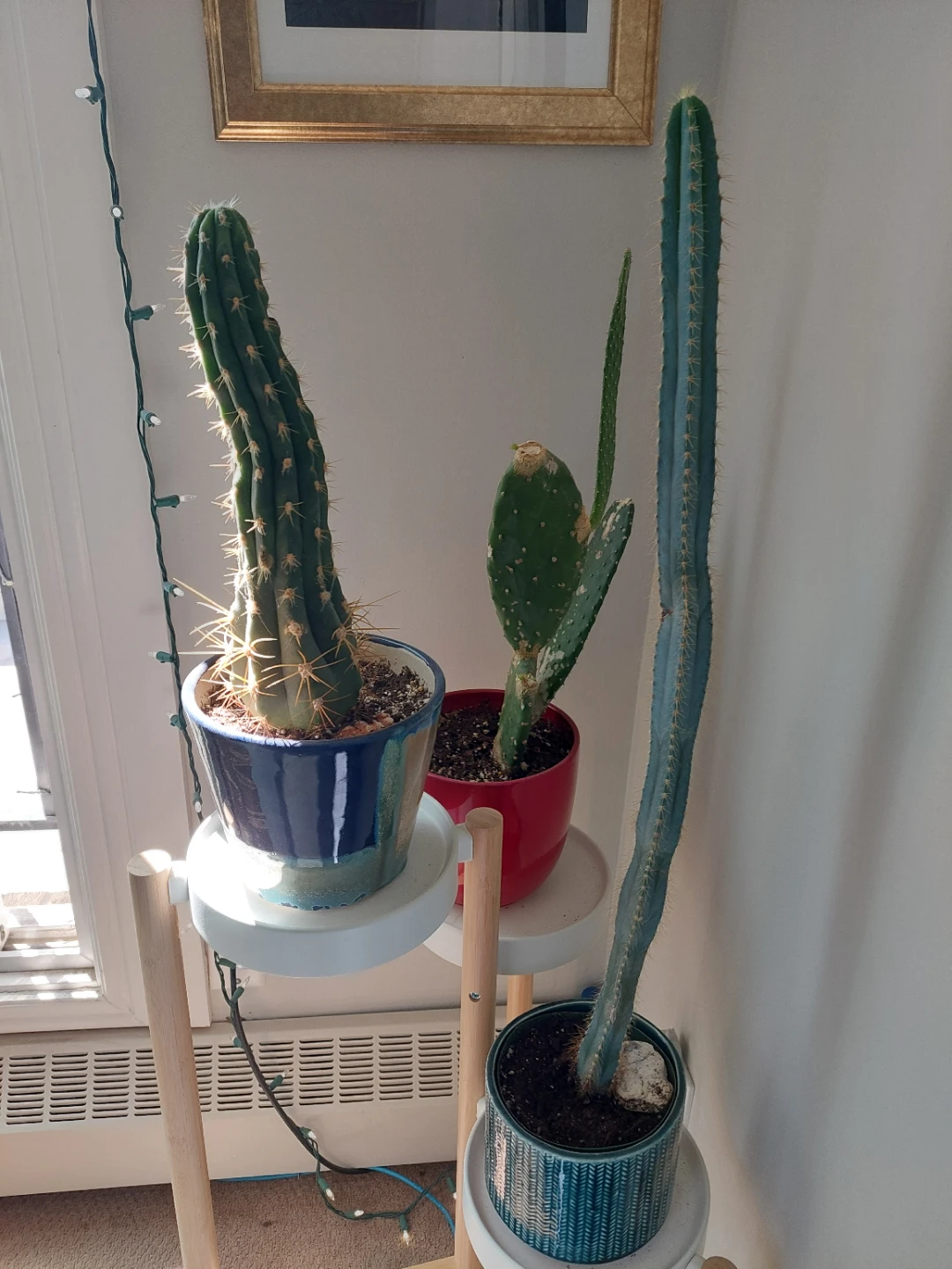 Plant Stand - photo 2