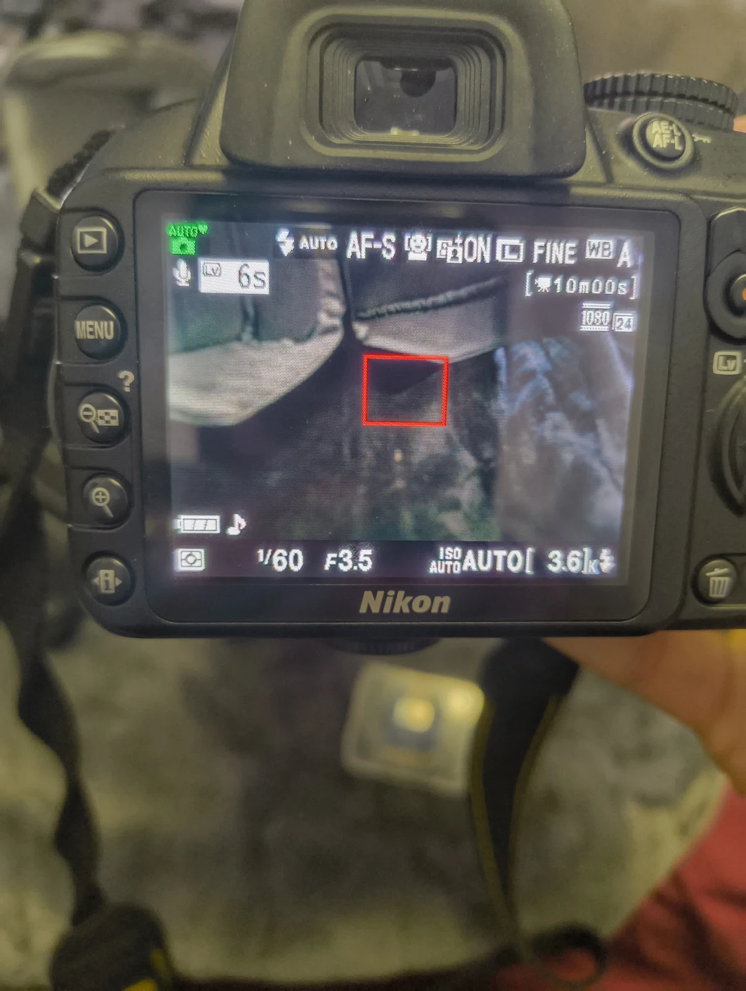 Nikkon D3100 - photo 3