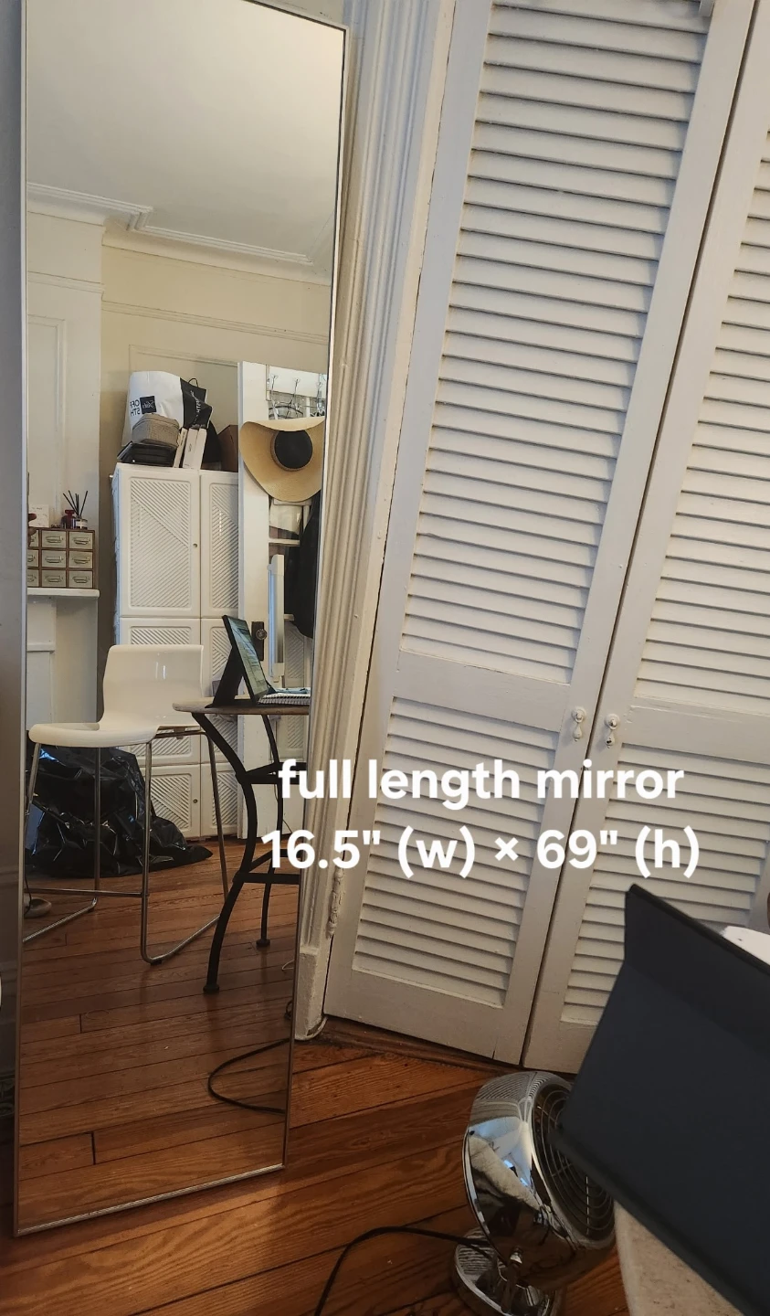 (CB2) Full Length Mirror - 16.5" x 69"