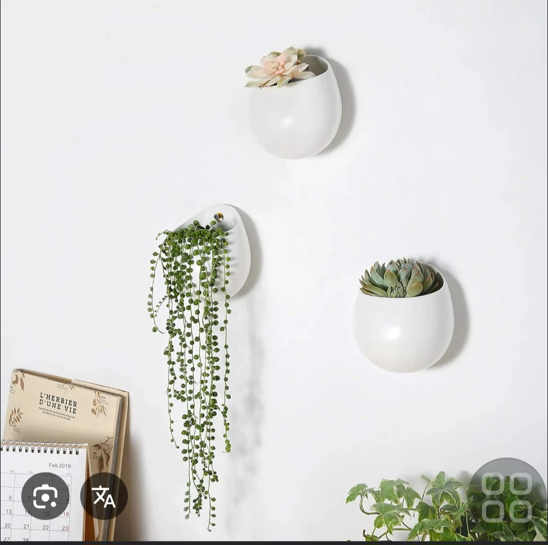 Set of 5 White Wall Mounted Planters