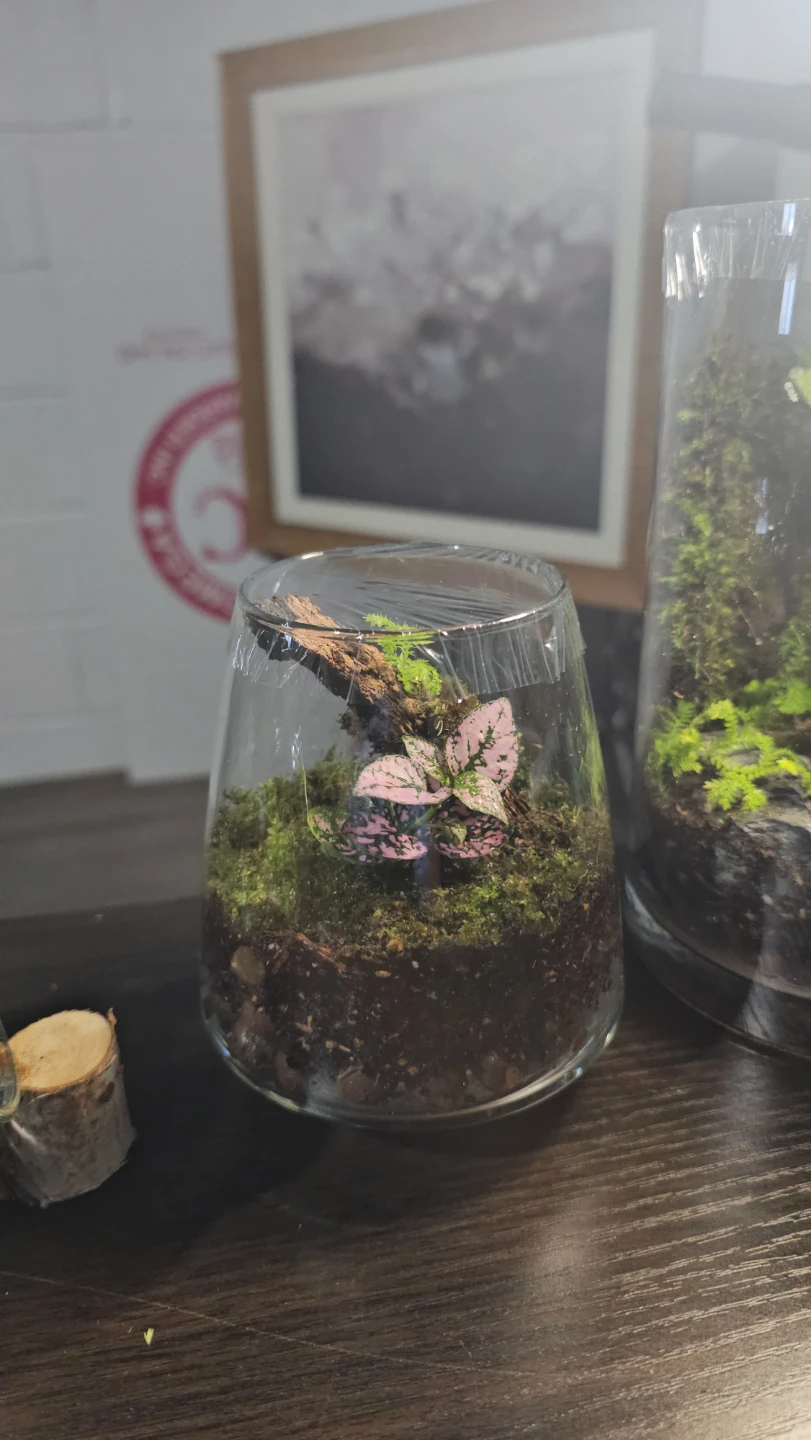 Terrarium Glass Jar/ mini garden