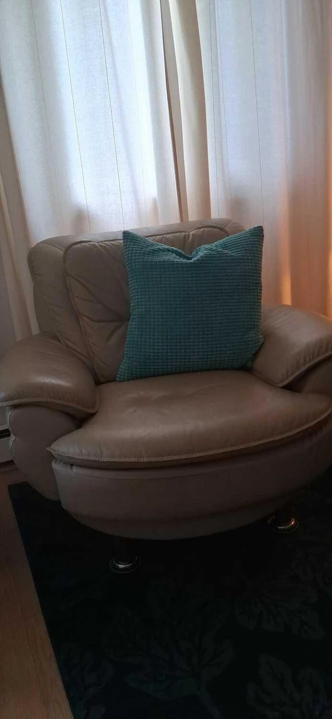Comfy Oversized Armchair - Pet-friendly!