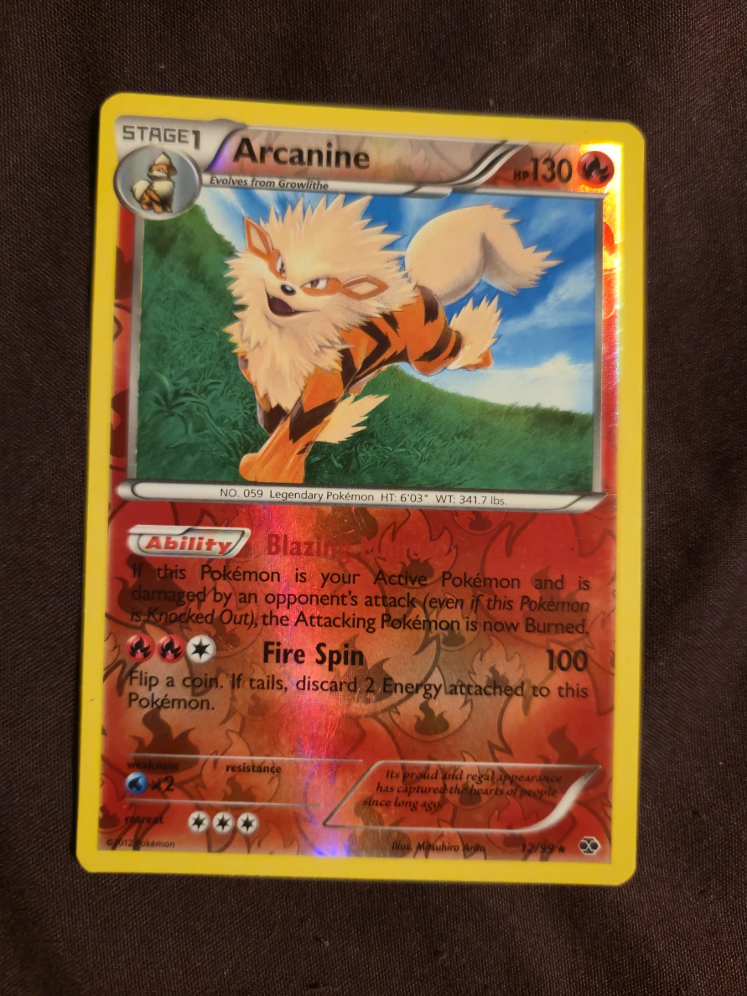 Pokemon Arcanine tcg card