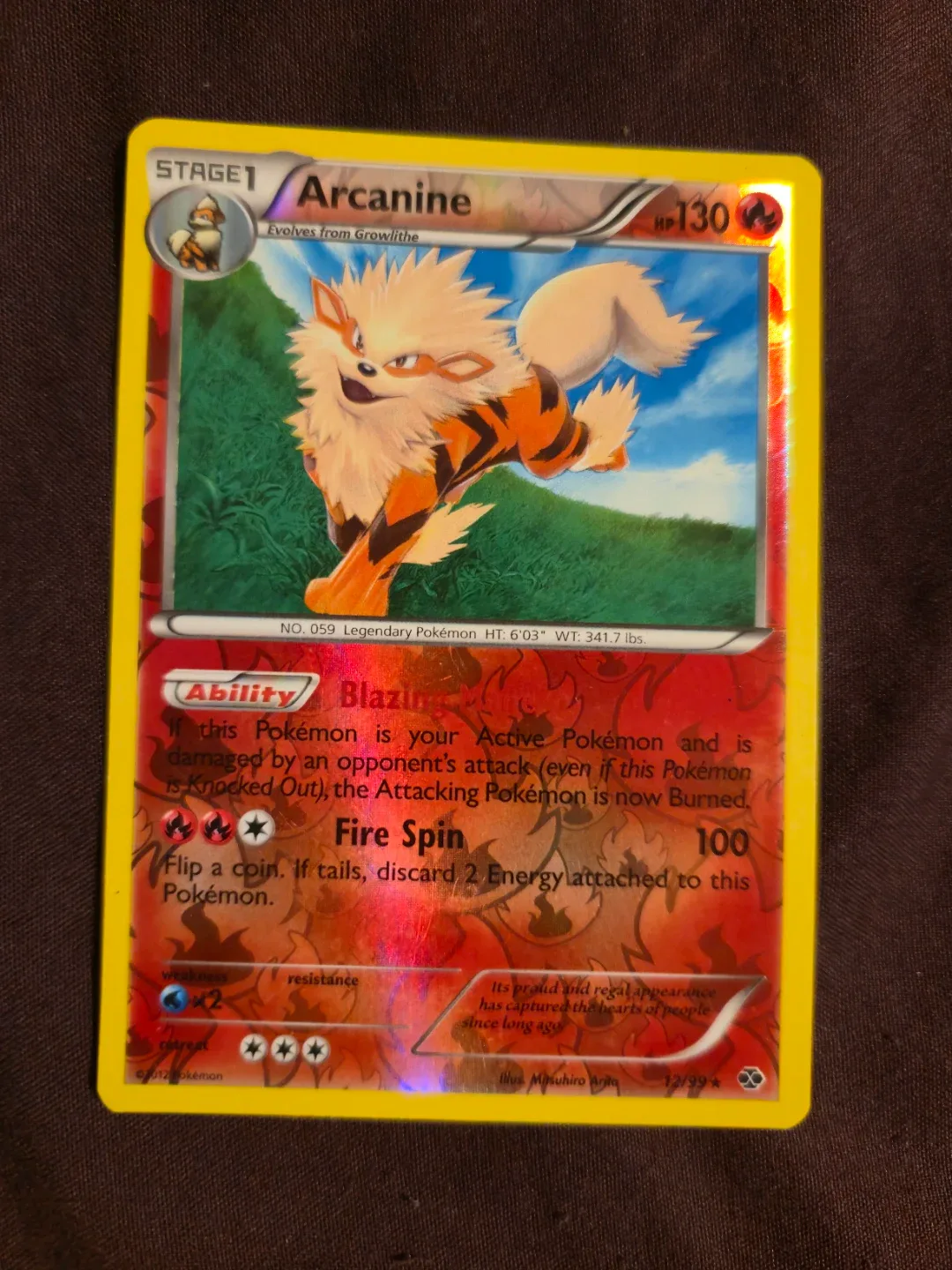 Pokemon Arcanine tcg card
