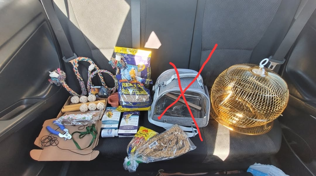 Assorted Bird Accessories and Supplies Lot